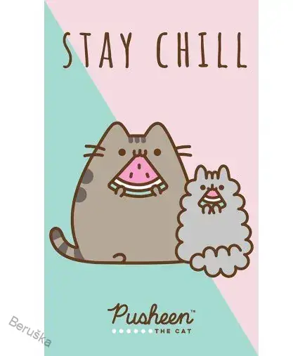 DĚTSKÝ RUČNÍK KOČIČKA PUSHEEN STAY CHILL 30X50