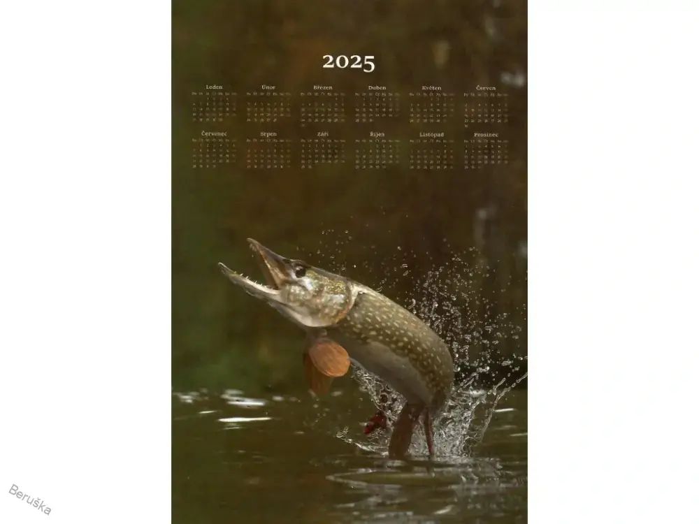 Kalendář textilní druhé jakosti 2025 * ŠTIKA