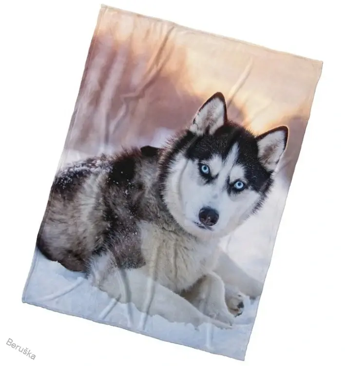 Mikroplyšová deka Pes Sibiřský Husky 150x200