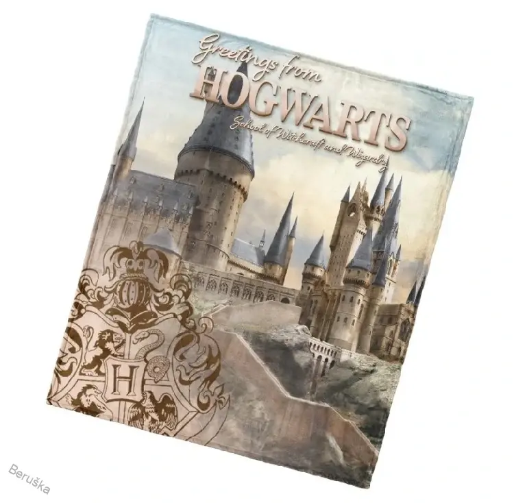 Dětská deka 130x160 cm * Harry Potter Bradavické Tajemství
