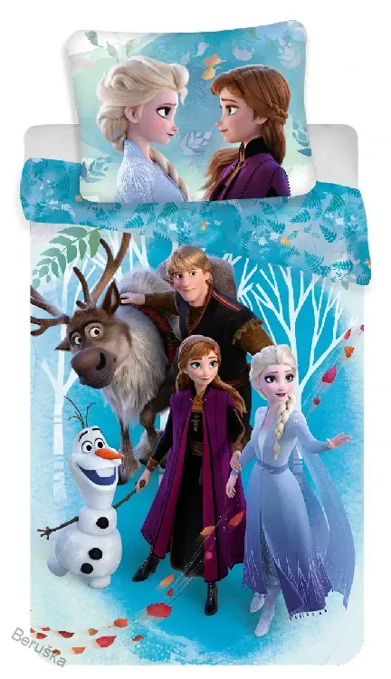 Povlečení Frozen 2 Family