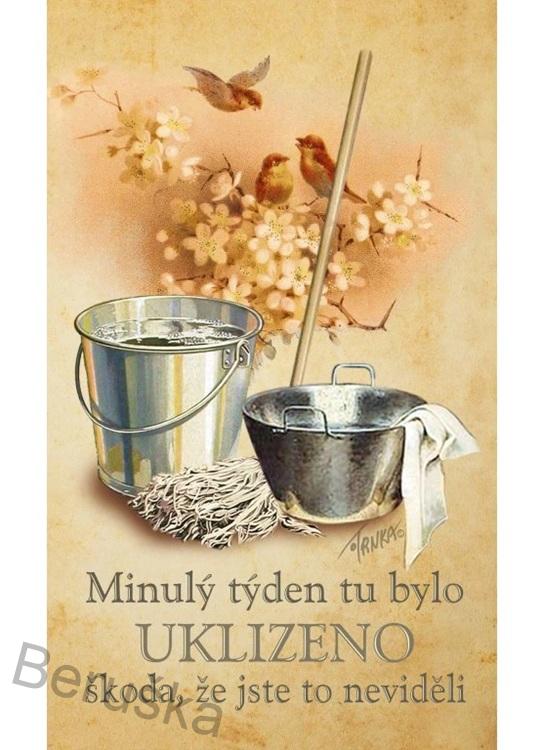 Malý ručník 30 x 50 cm - Bylo tu uklizeno