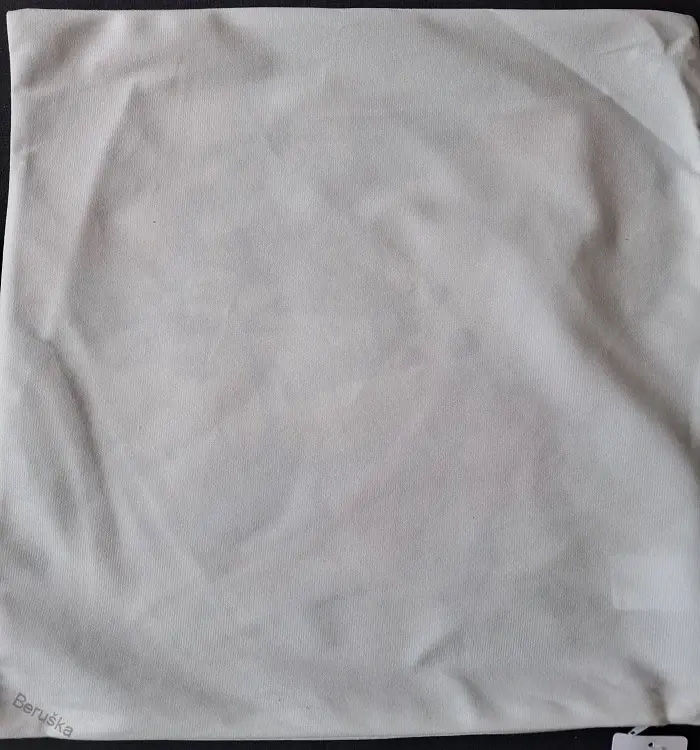 Povlak na polštářek Veverka dýně