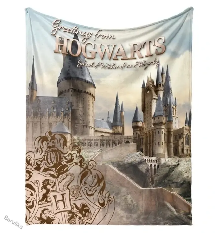 Dětská deka 130x160 cm * Harry Potter Bradavické Tajemství