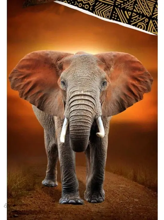 Bavlněné povlečení Slon Etno