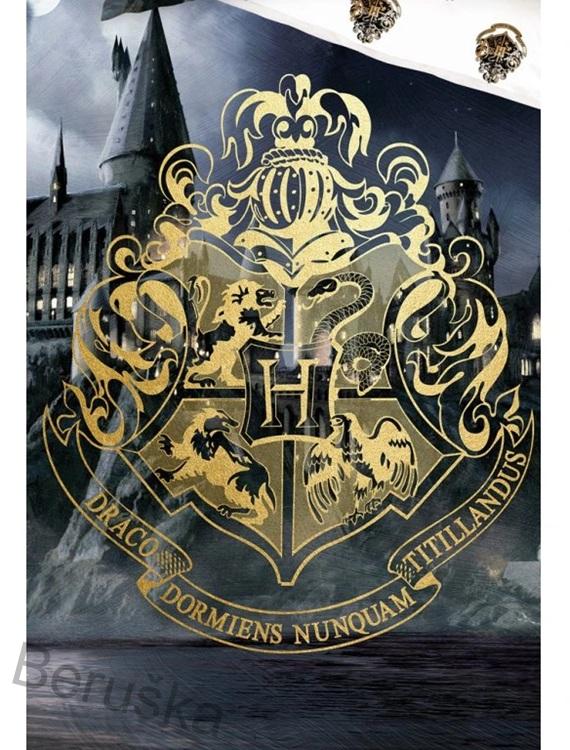 Dětské povlečení Harry Potter Cesta do Bradavic
