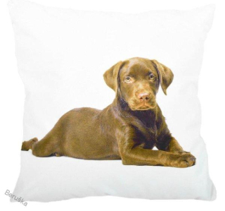 Povlak na polštářek Fotopolštář Labrador