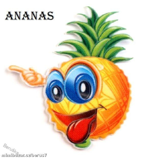 Nášivka - nášivky - nažehlovačky - nažehlovačka ananas
