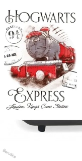 DĚTSKÝ RUČNÍK HARRY POTTER BRADAVICKÝ EXPRESS 30X50
