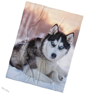 Mikroplyšová deka Pes Sibiřský Husky 150x200