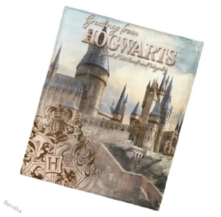 Dětská deka 130x160 cm * Harry Potter Bradavické Tajemství