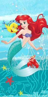 OSUŠKA - OSUŠKY Ariel Friends beach towel