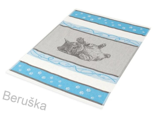 UTĚRKA ŽAKÁRSKÁ KOČKA Tyrkysová